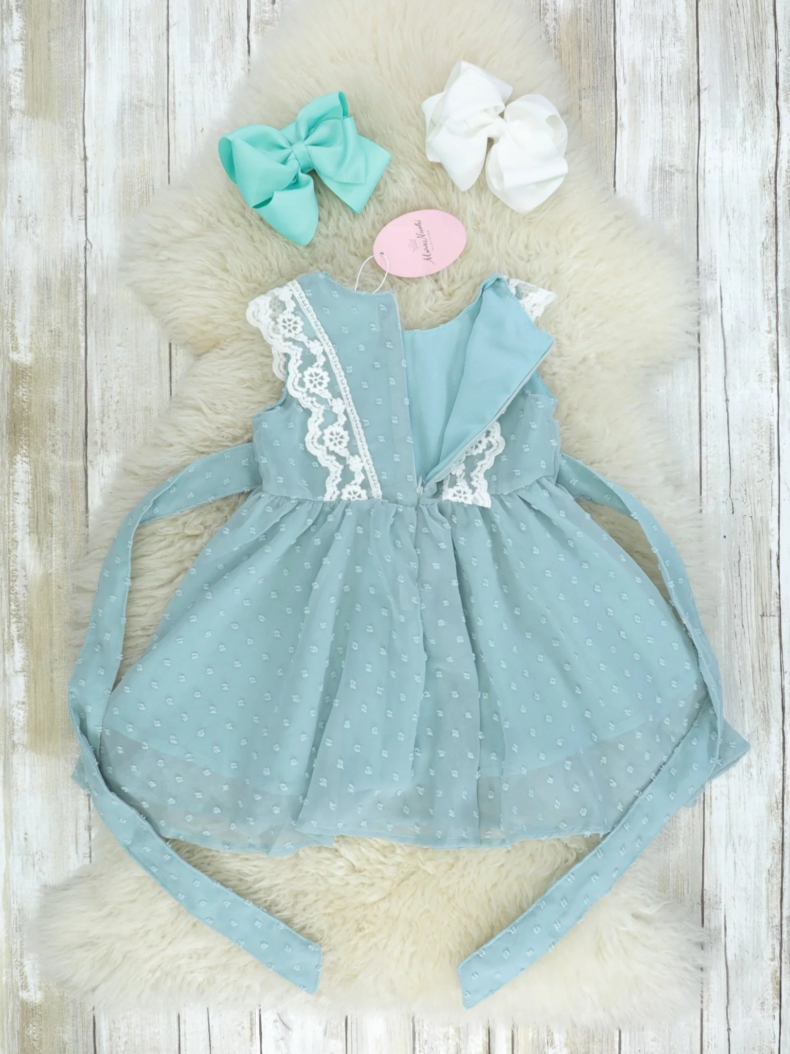 Ash Blue Lace Swiss Dot Dress - Image 5