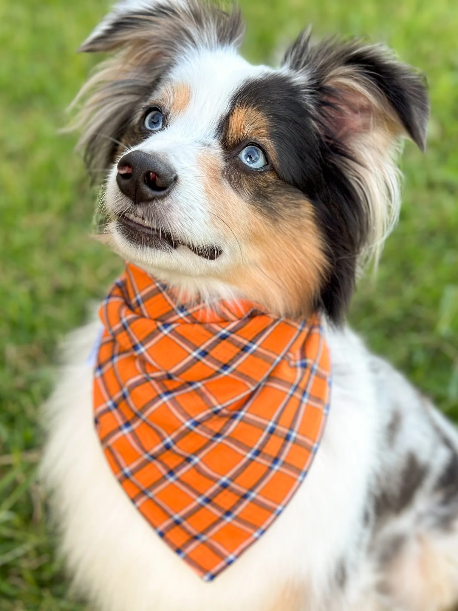 Autumn Plaid Bandana - Image 4