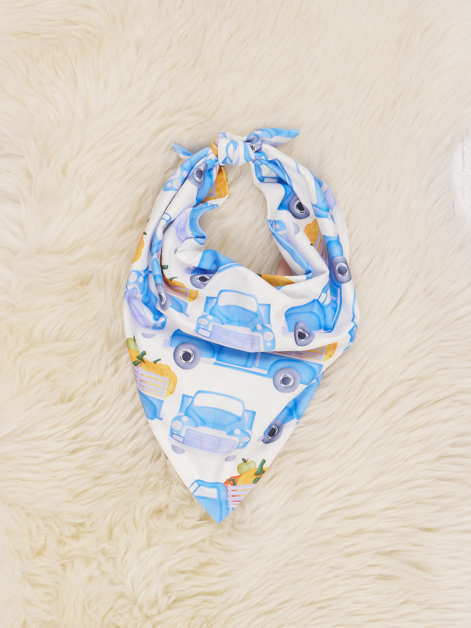 Blue & White Pumpkin Truck Bandana - Image 2