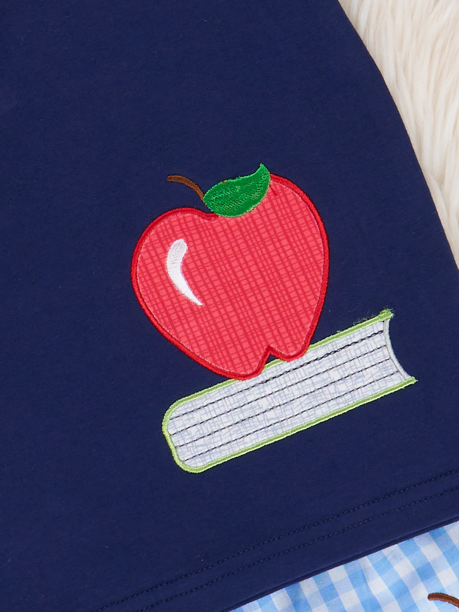 Blue Gingham Teacher's Apple Outfit - Image 3