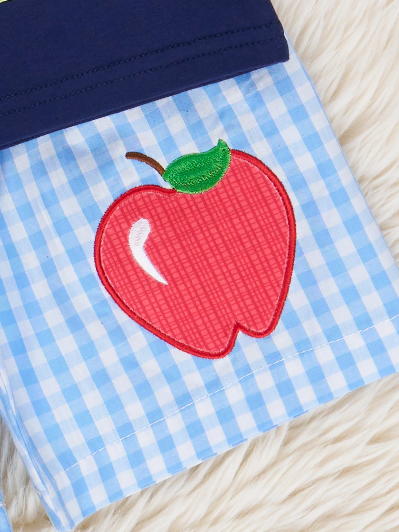 Blue Gingham Teacher's Apple Outfit - Image 4