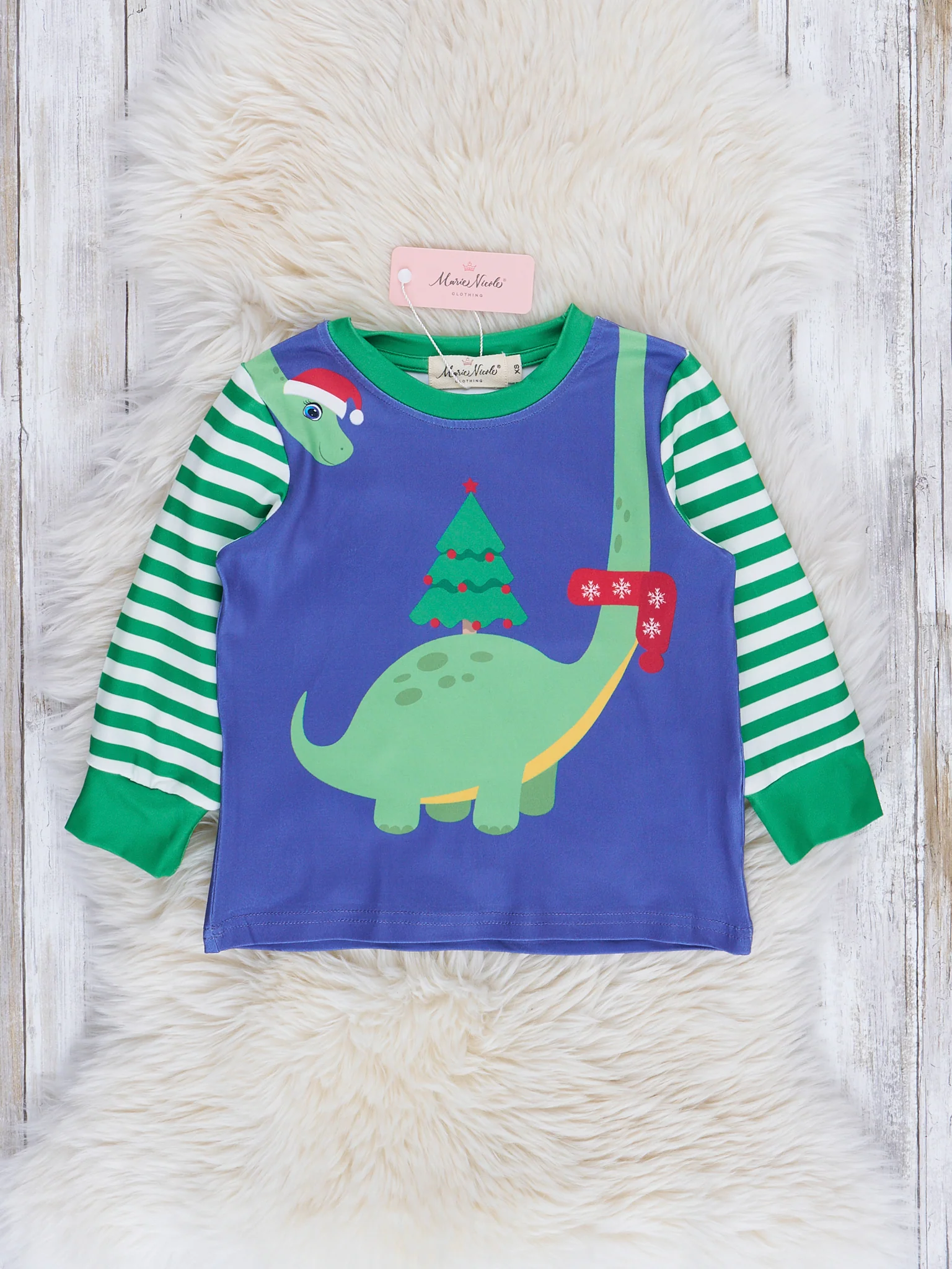 Blue & Green Holiday Dino Striped Raglan Top