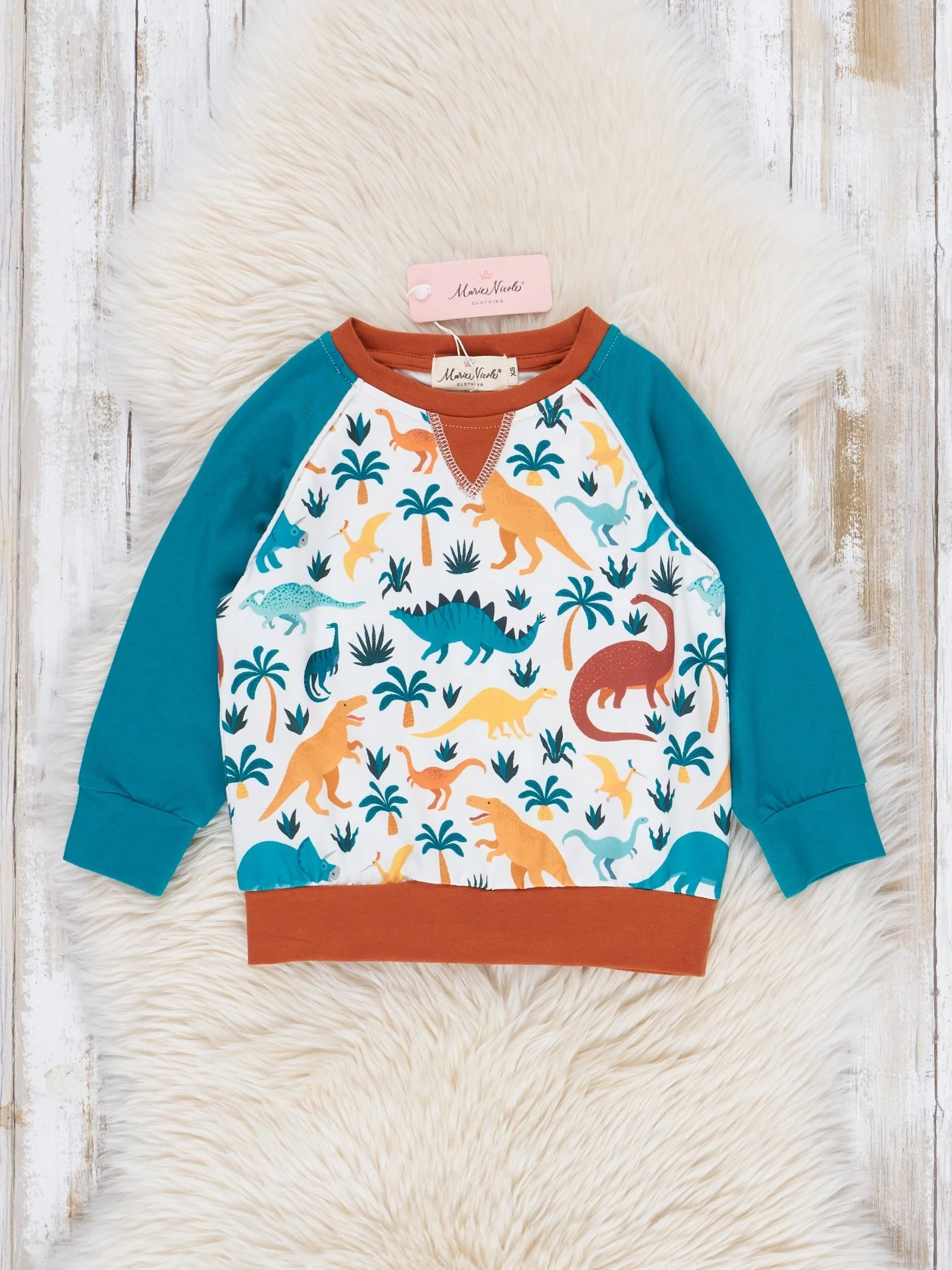 Brown & Turquoise Dinosaur Raglan Shirt