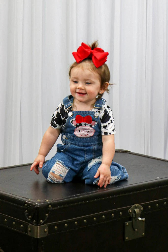 Cow Print Shirt & Overalls - Image 5