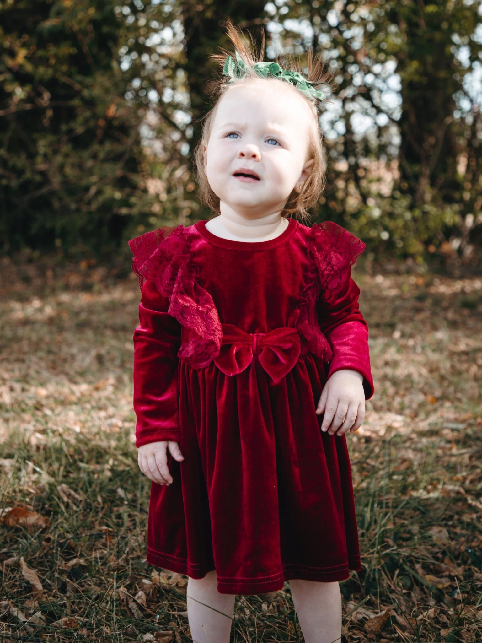 Crimson Velvet Bow Lace Dress