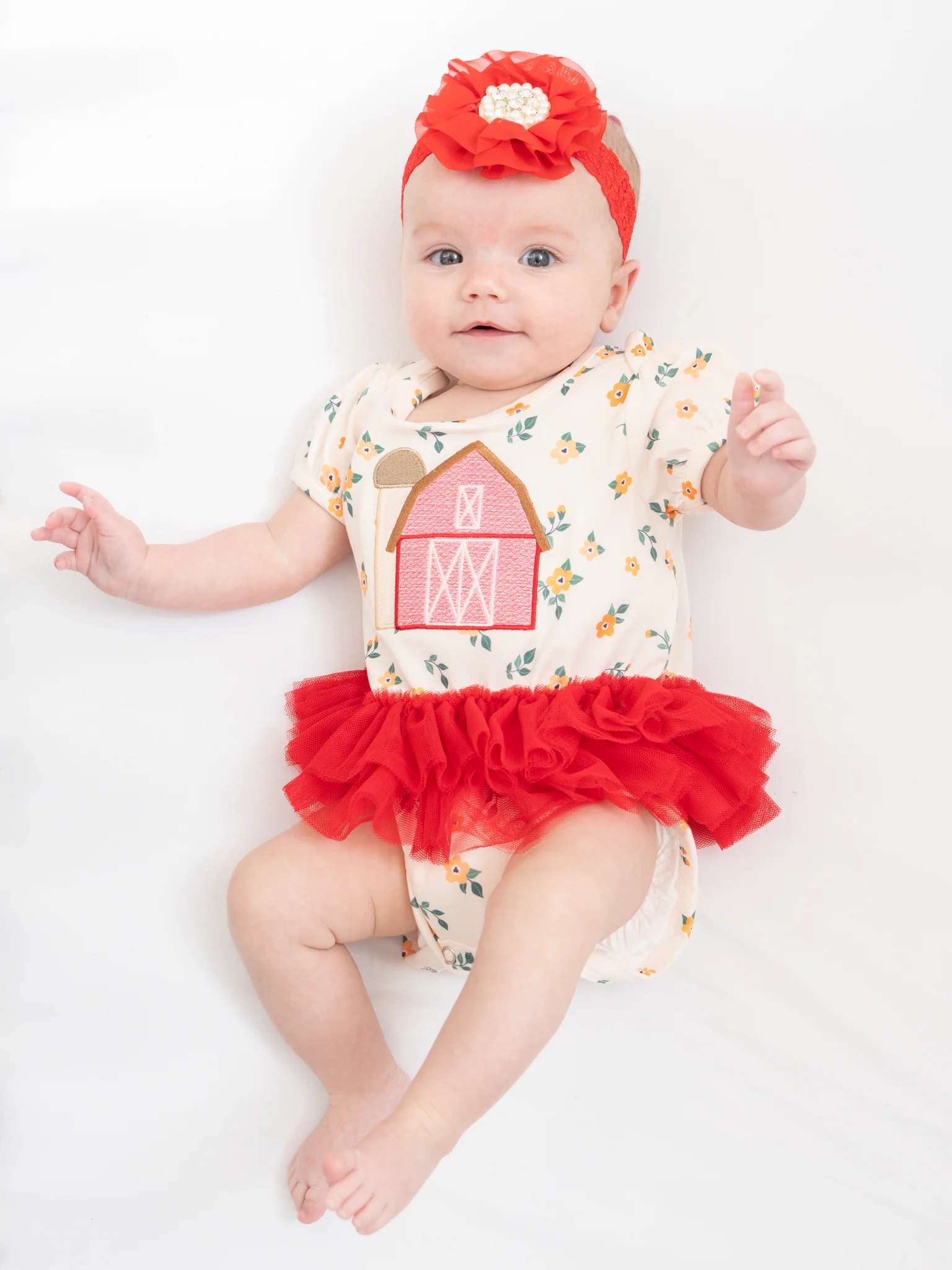 Embroidered Barn Tulle Bubble Romper - Image 3