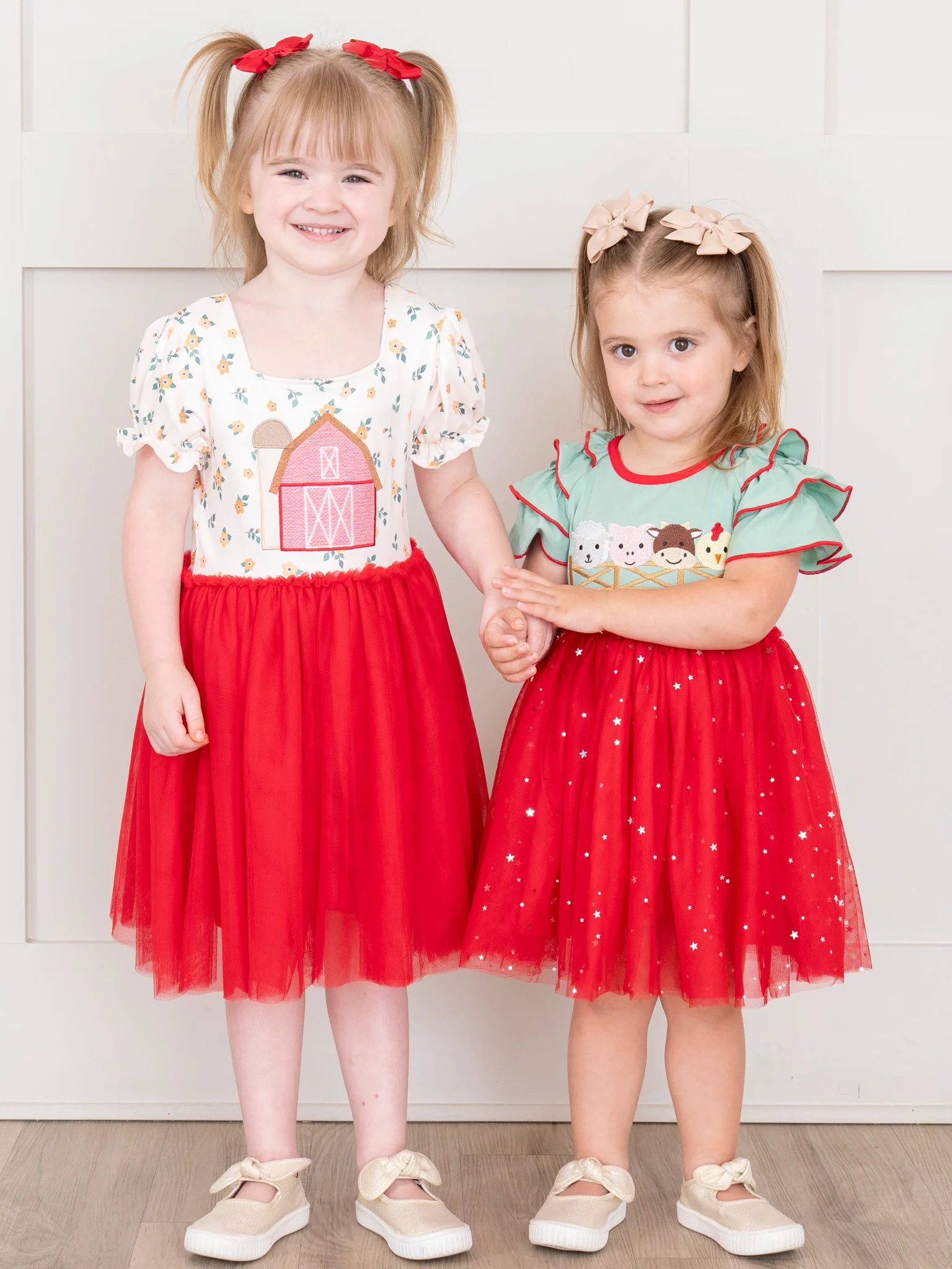Embroidered Barn Tulle Dress - Image 4