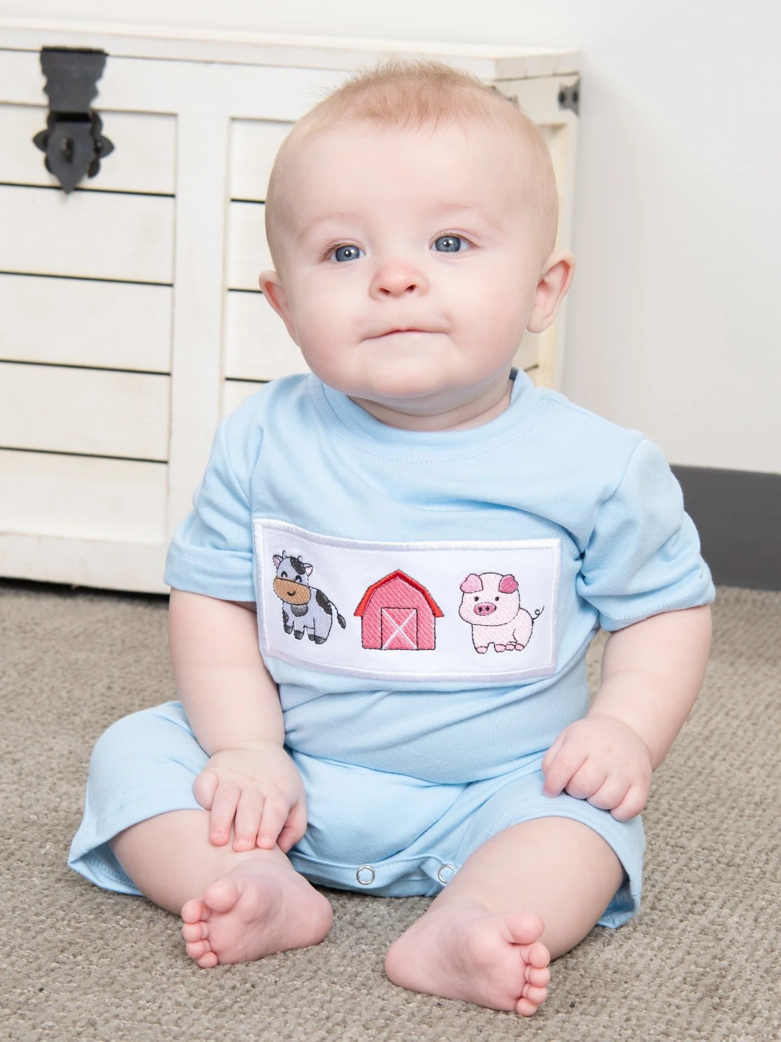 Farm Friends Romper