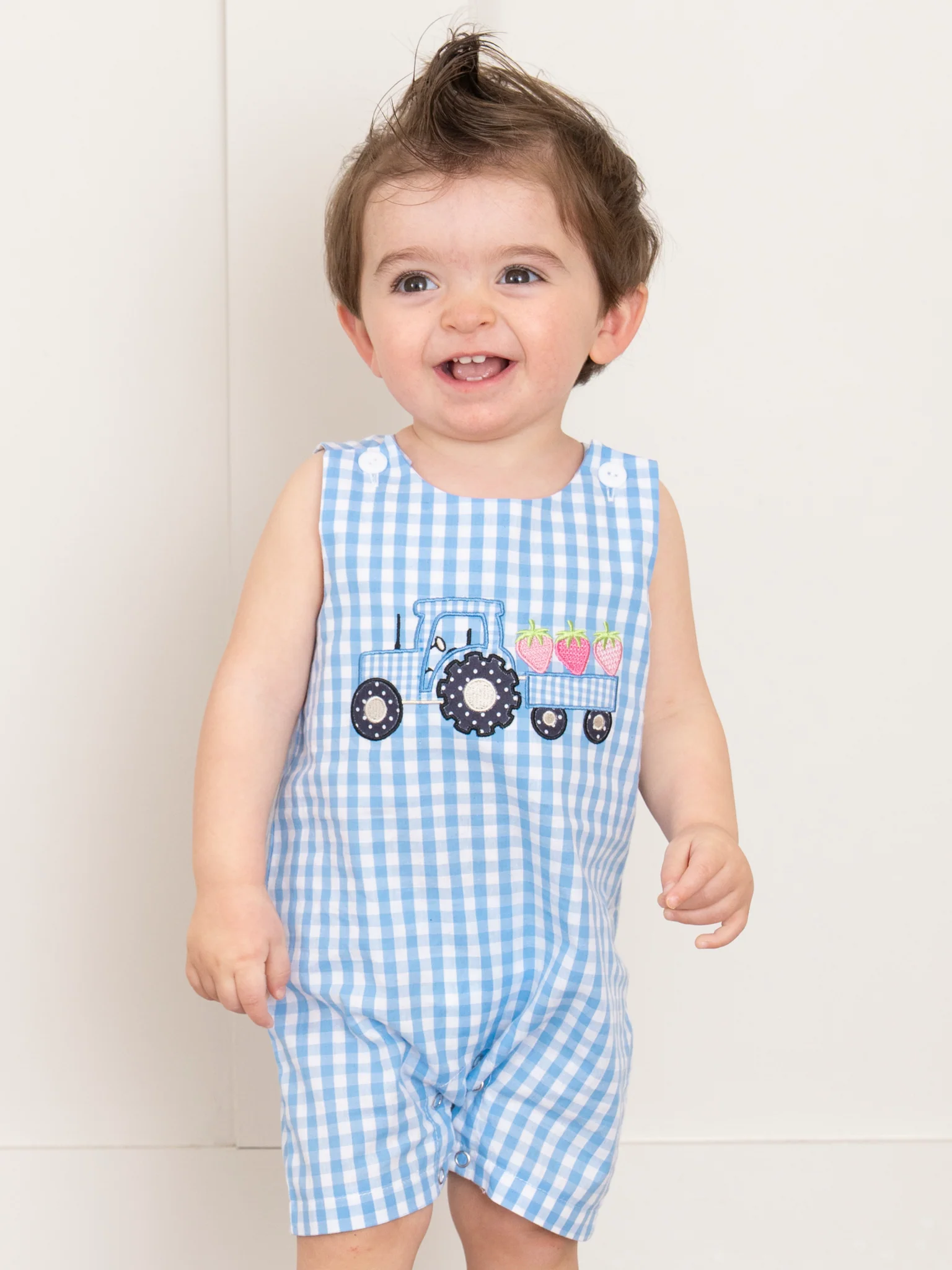 Gingham Embroidered Fruit Truck 100% Cotton Johnny