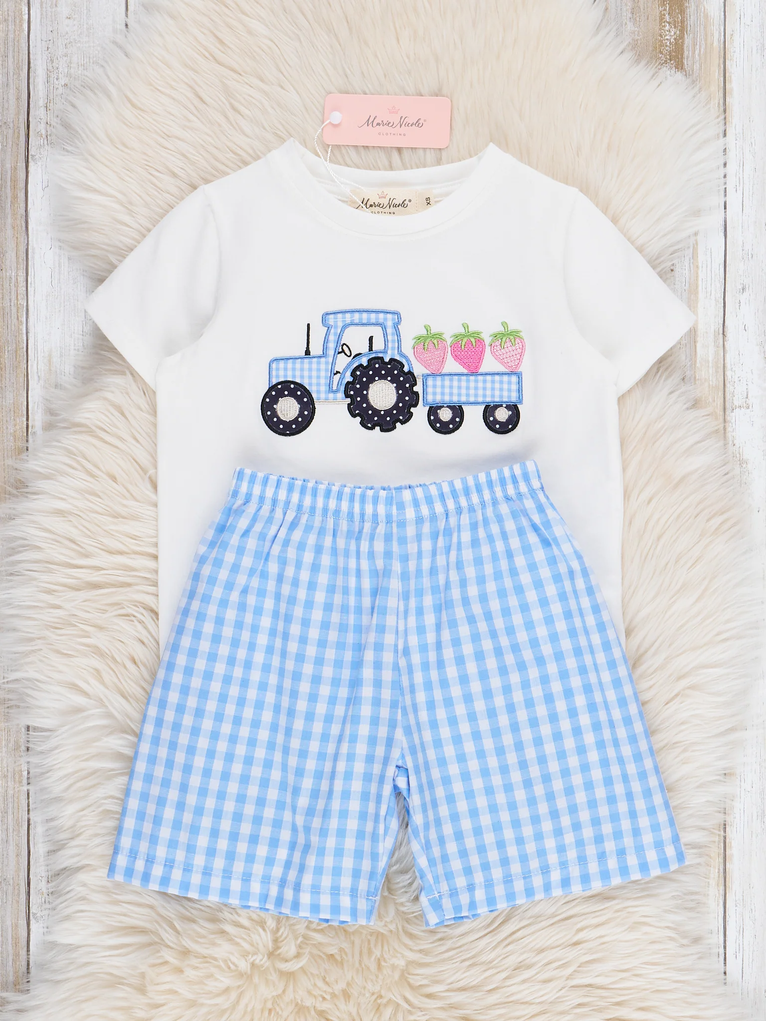 Gingham Embroidered Fruit Truck Cotton Outfit - Image 2