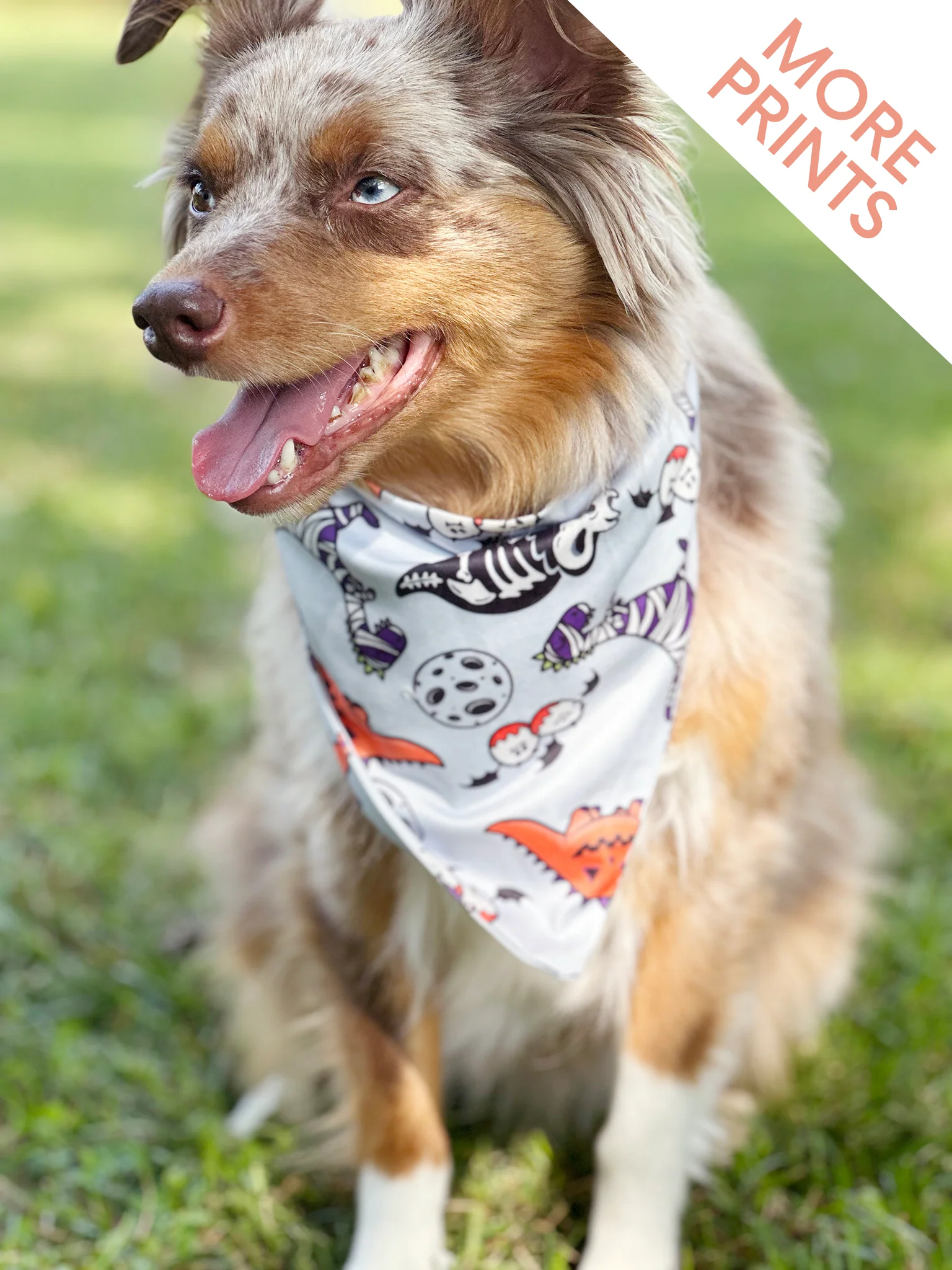 Happy Halloween Bandana