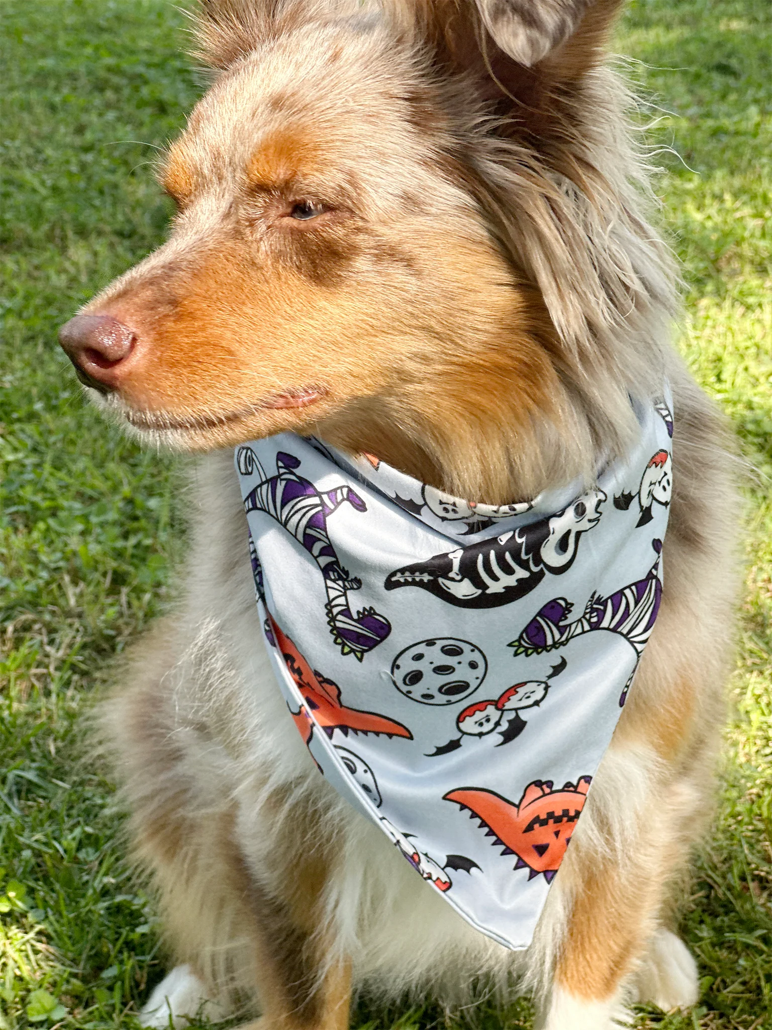 Happy Halloween Bandana - Image 6