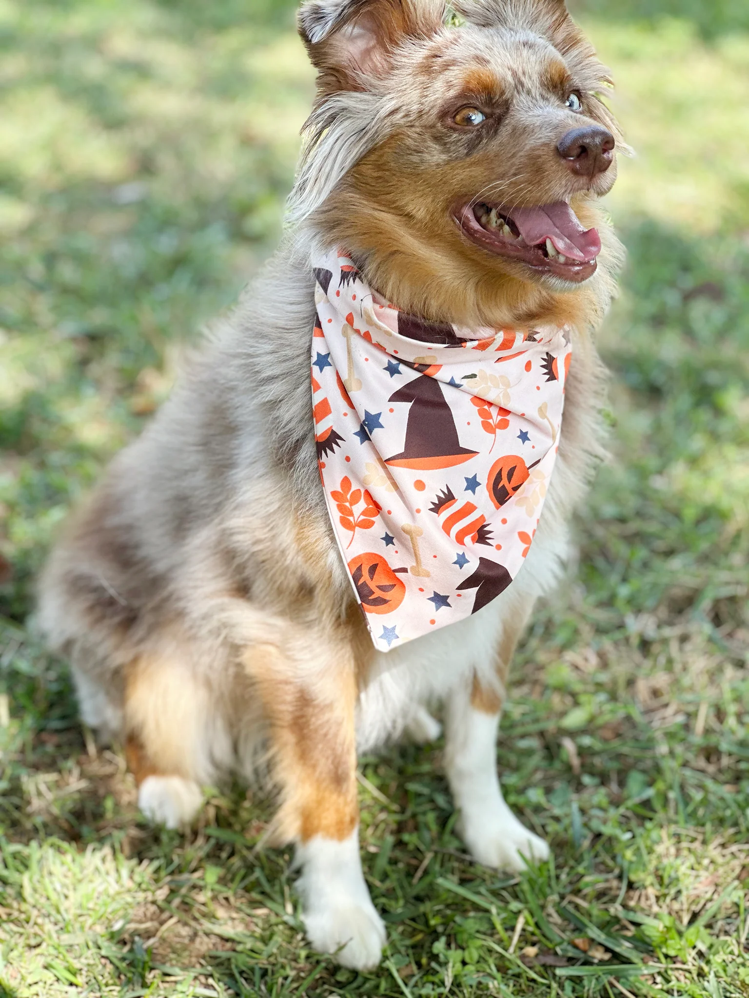 Happy Halloween Bandana - Image 7