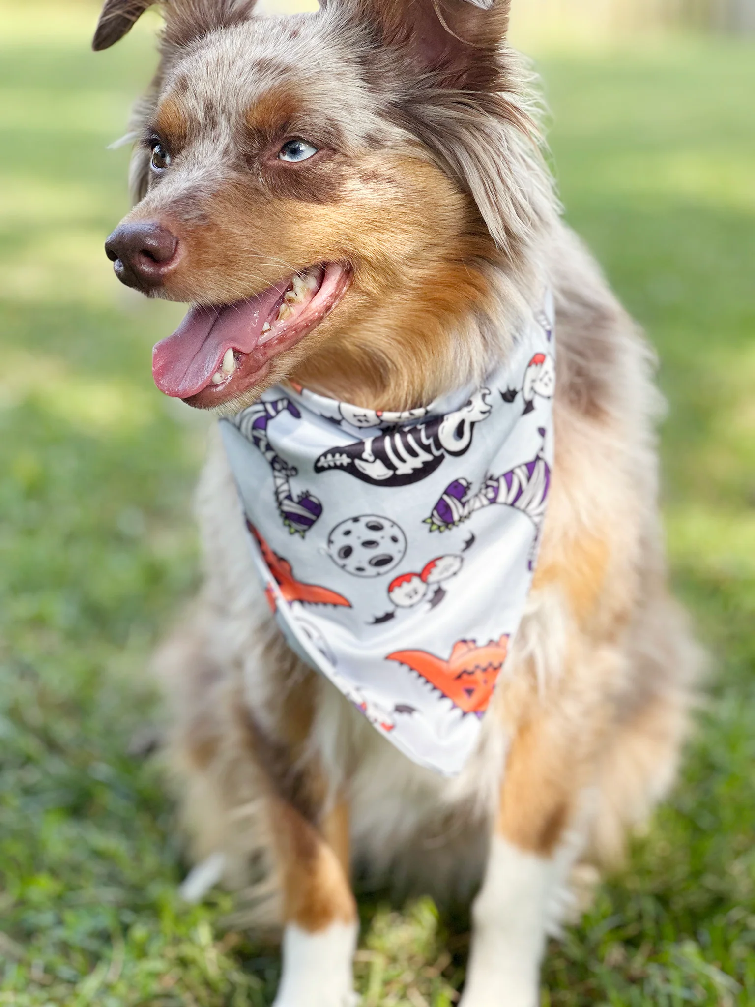 Happy Halloween Bandana - Image 8
