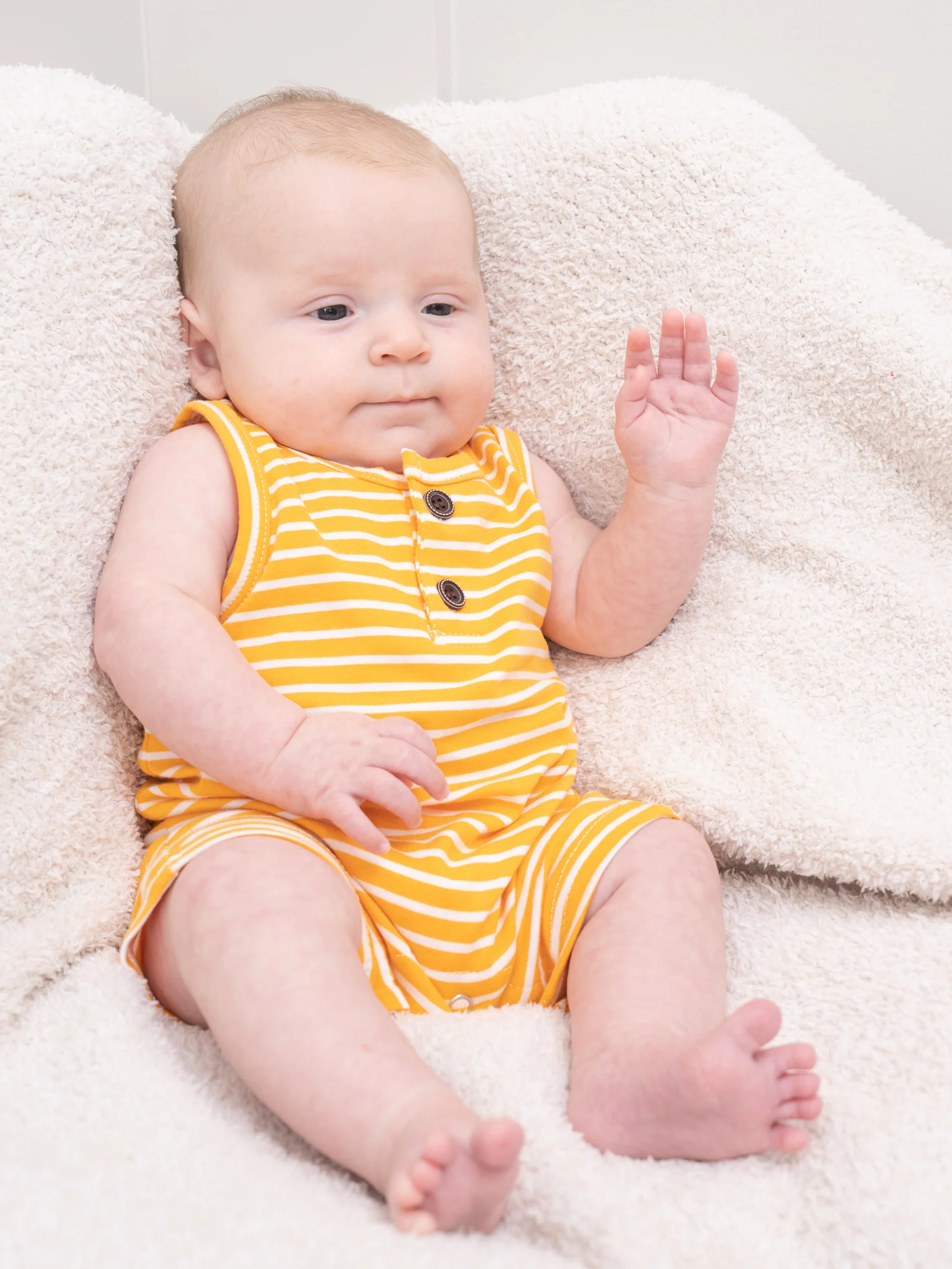Mustard Striped Johnny