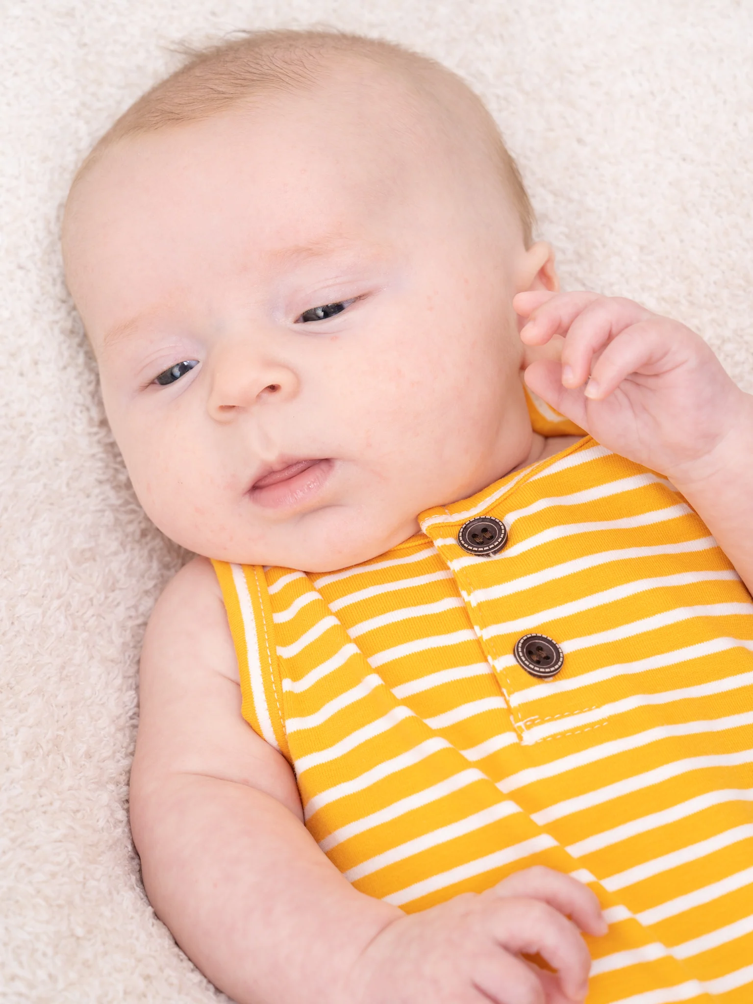 Mustard Striped Johnny - Image 4